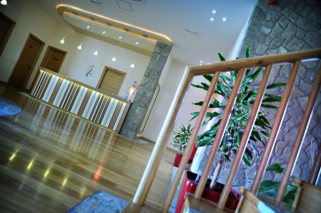 Hotel Aria Mitrovici (Podgorica) Exterior foto